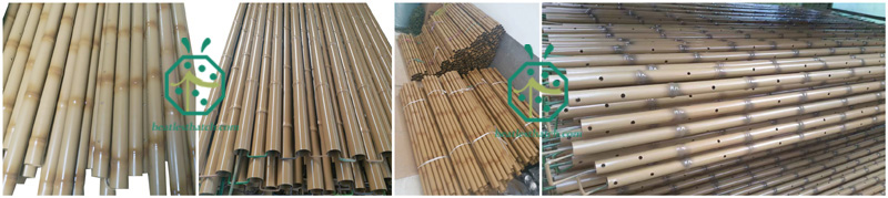 Garden Stainless Steel Bamboo Sticks