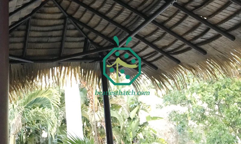 Interior View Of Rain Proof Fake Palm Thatch Roof For Wooden Shelter Structure