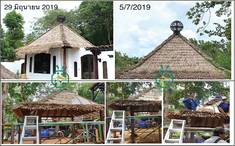 리조트 호텔 정원 통나무 오두막집 건설을 위한 섬유 초가 지붕 설치