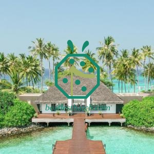 Palapa 합성 초가 지붕 디자인
