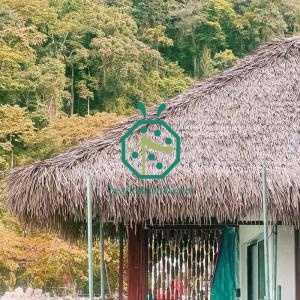 오버워터 방갈로 지붕 교체 인공 캐잔 초가