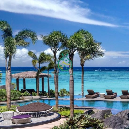 Wholesale Fireproof Artificial Thatch Roofing For Outdoor Patio Construction
