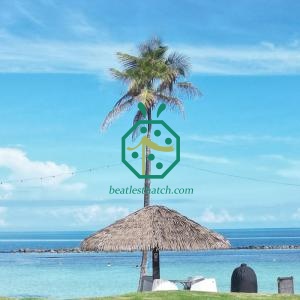 Fireproof Artificial Thatch For Palapa Roof Replacement Construction in USA