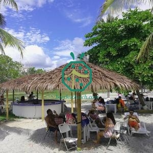 Fireproof Plastic Palm Tree Thatch Roof Panel Martinique For Bohio
