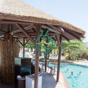 Various Synthetic Thatched Roof For BBQ Hut Building