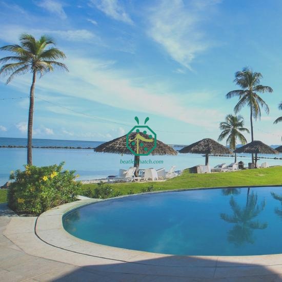 Artificial Palm Thatch Roof