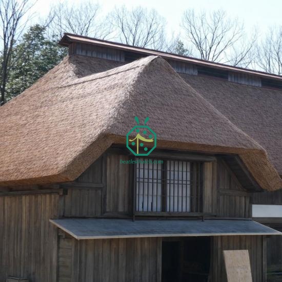 South Africa Artificial Lapa Thatch Roof Supplier