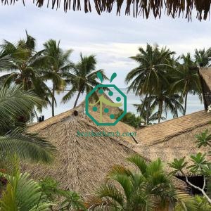 palm tree leaves for roofing