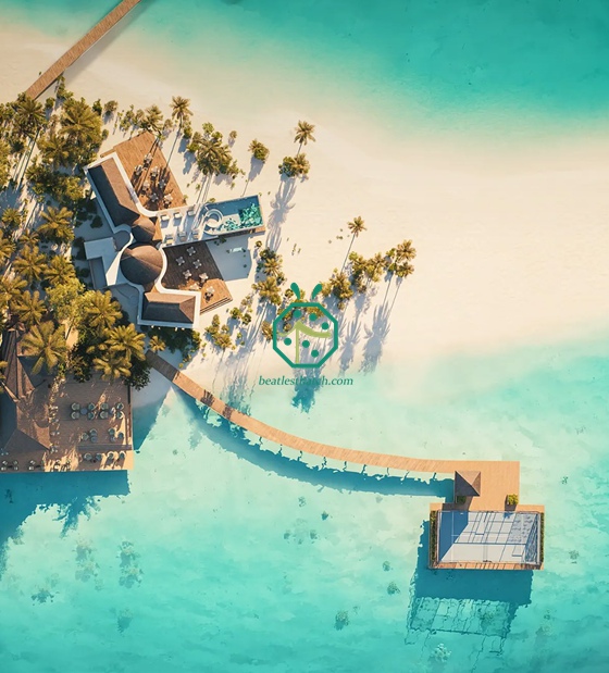 몰디브 도착 파빌리온용 모조 카잔 짚 지붕 장식