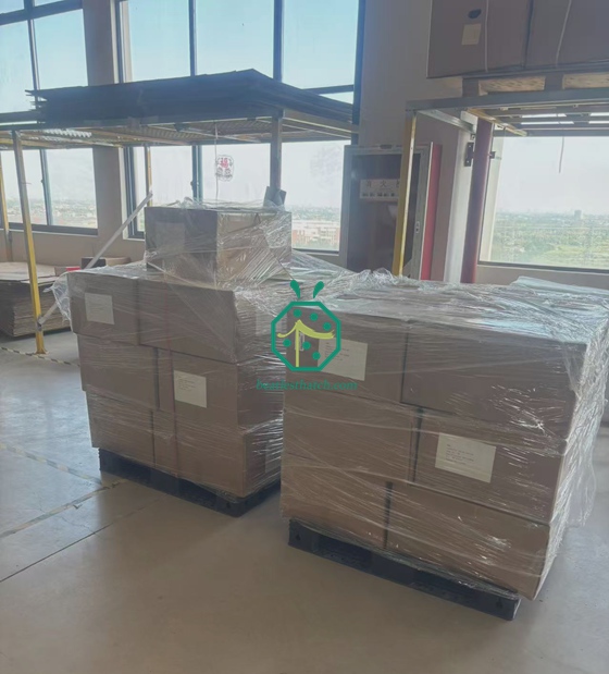 세이셸 섬 섬유 루핑 및 프라이버시 스크린 배송