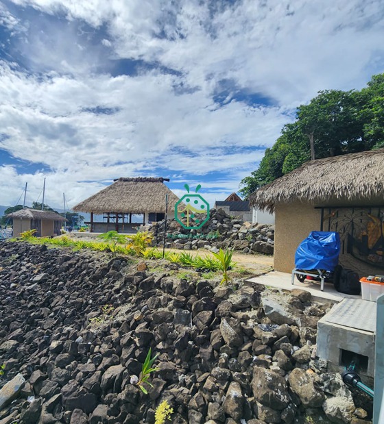 합성 야자나무 초가 패널을 사용한 피지 섬 주택 건설